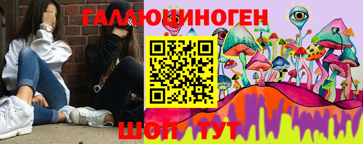 Псилоцибиновые грибы Psilocybine cubensis Кудрово