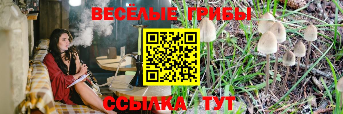 Псилоцибиновые грибы MAGIC MUSHROOMS  Вход с VPN  Галлюциногенные грибы прущие грибы  Кудрово 